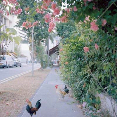 半岛·综合体育下载手机版