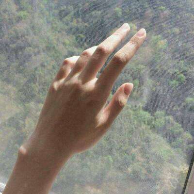 开云·体育平台