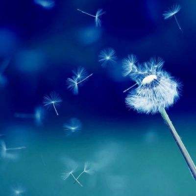 BET9官方APP下载正版