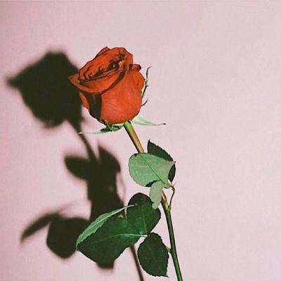 火狐官网下载手机版