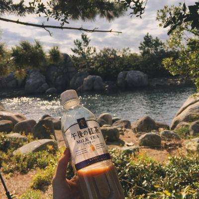 加拿大pc软件平台手机app下载