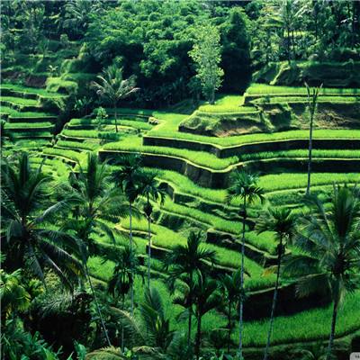 金沙娱场城官网入口网址下载