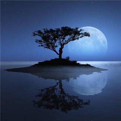 幸运彩票app下载