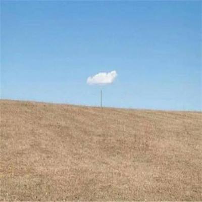 开元ky7818老版本手机app下载