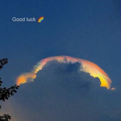 开元棋棋牌388ccvod