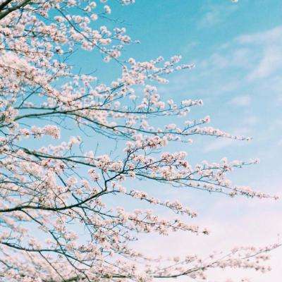 Kaiyun·开云体育