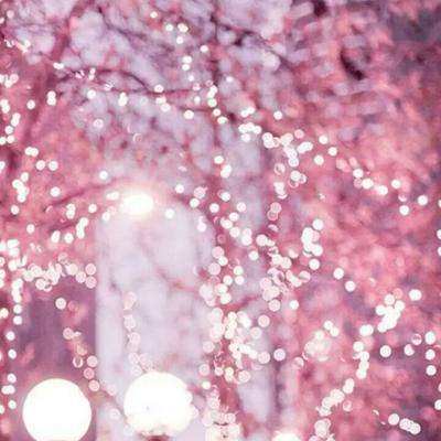 Kaiyun·开云体育