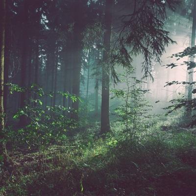 澳门王中王100%的资料